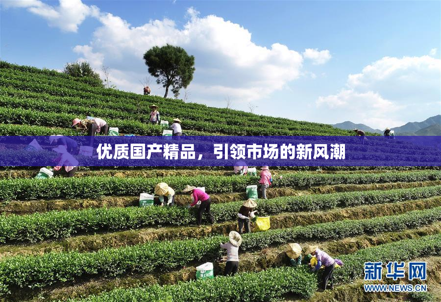 优质国产精品，引领市场的新风潮