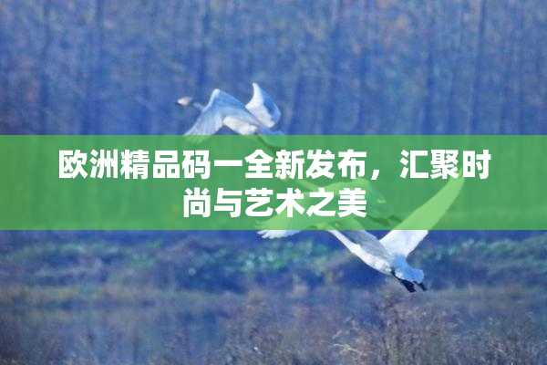 欧洲精品码一全新发布，汇聚时尚与艺术之美