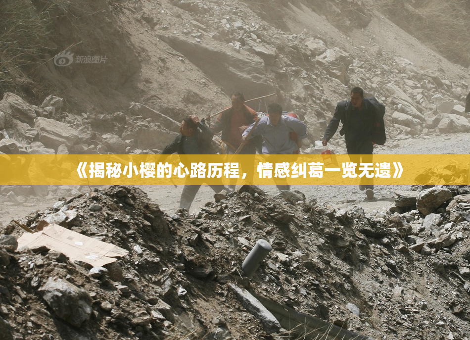 《揭秘小樱的心路历程，情感纠葛一览无遗》