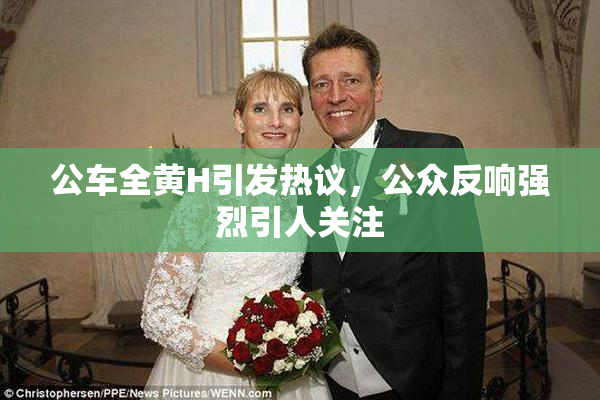 公车全黄H引发热议，公众反响强烈引人关注