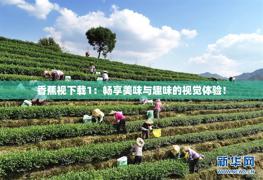 香蕉视下载1：畅享美味与趣味的视觉体验！