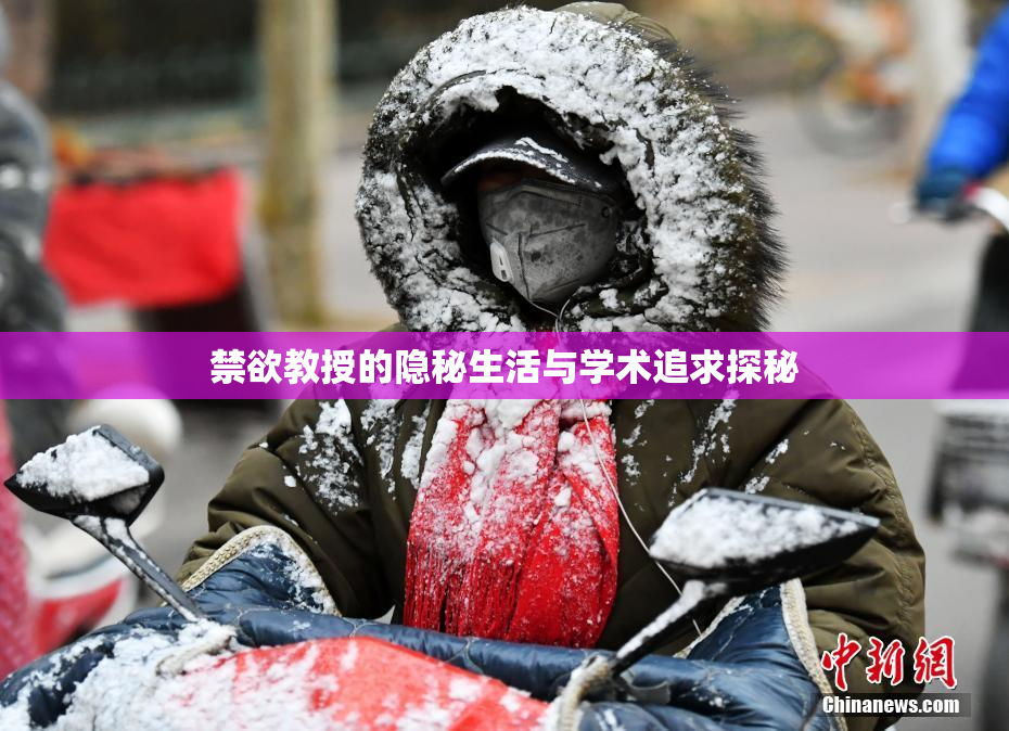禁欲教授的隐秘生活与学术追求探秘