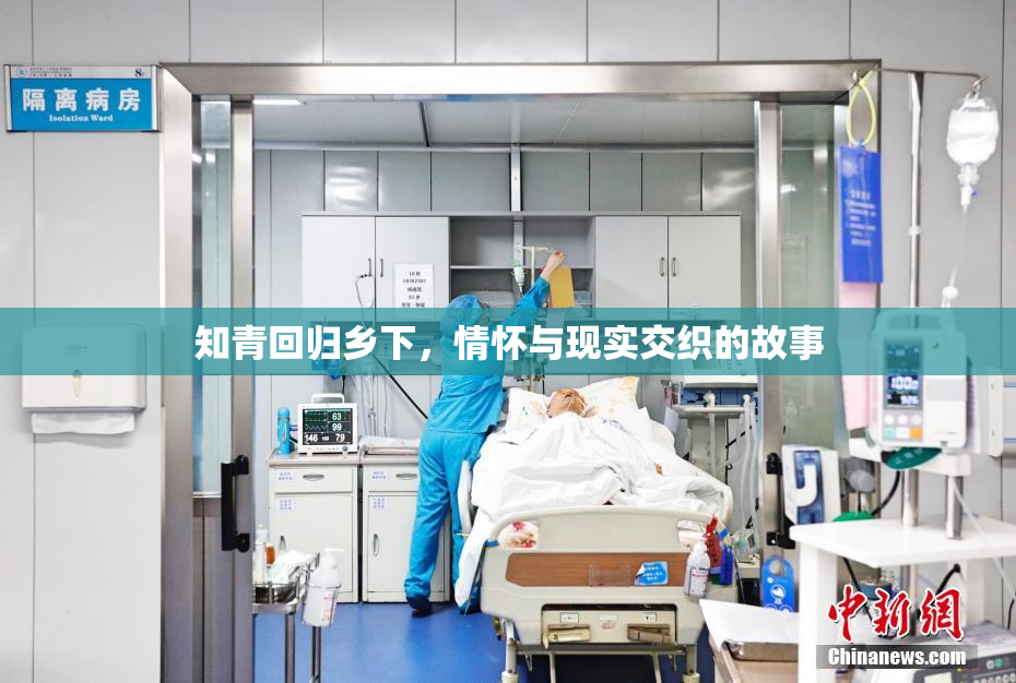 知青回归乡下，情怀与现实交织的故事