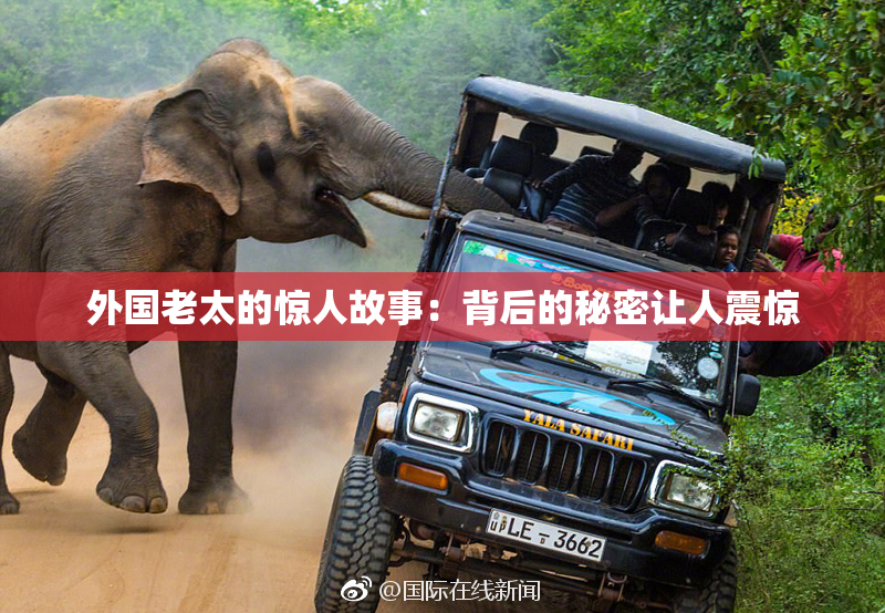 外国老太的惊人故事：背后的秘密让人震惊