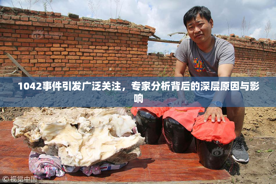 1042事件引发广泛关注，专家分析背后的深层原因与影响