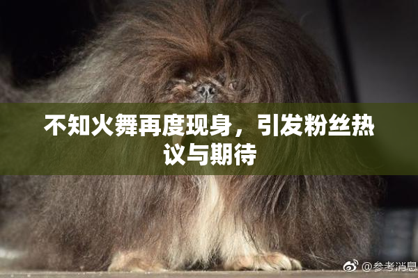 不知火舞再度现身，引发粉丝热议与期待