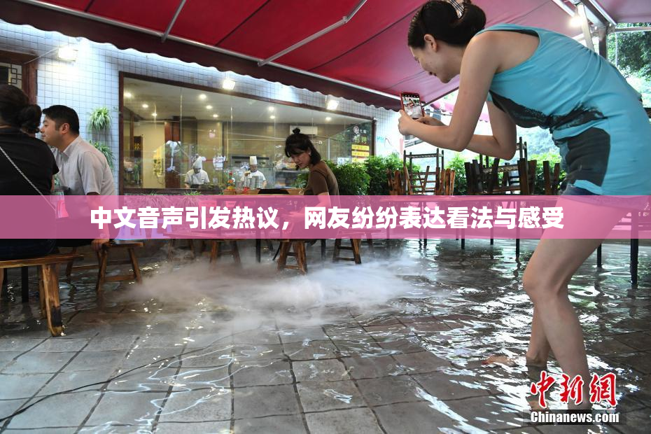 中文音声引发热议，网友纷纷表达看法与感受
