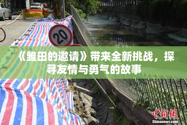 《雏田的邀请》带来全新挑战，探寻友情与勇气的故事