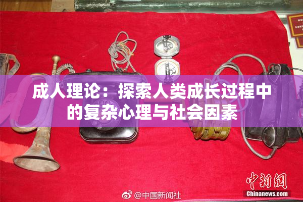 成人理论：探索人类成长过程中的复杂心理与社会因素