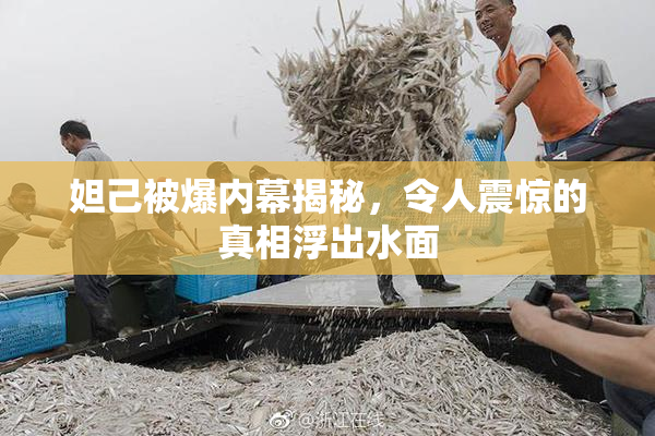妲己被爆内幕揭秘，令人震惊的真相浮出水面