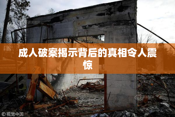 成人破案揭示背后的真相令人震惊