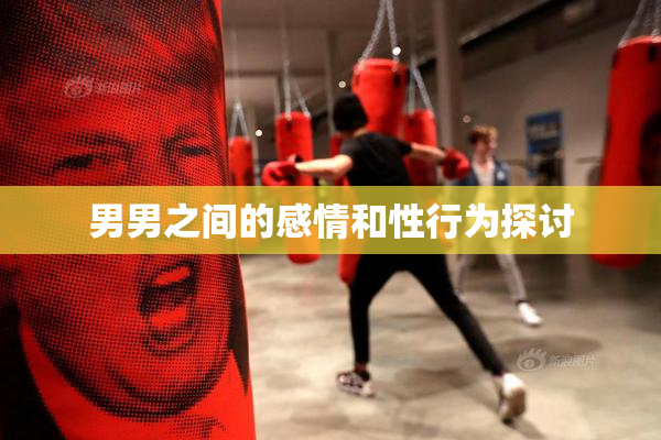 男男之间的感情和性行为探讨