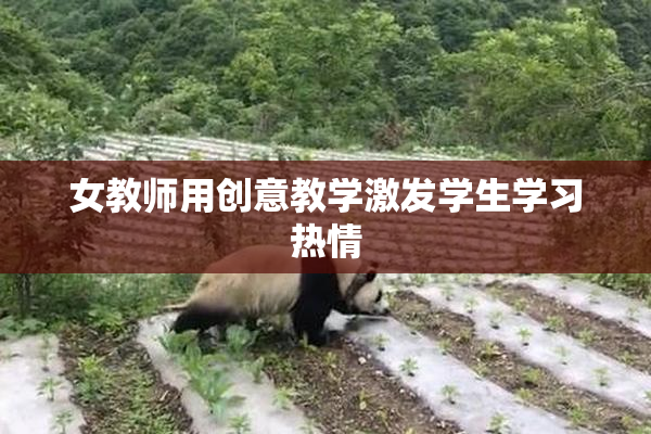 女教师用创意教学激发学生学习热情