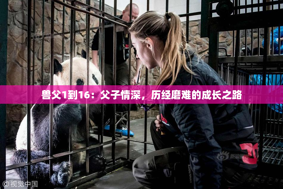 兽父1到16：父子情深，历经磨难的成长之路