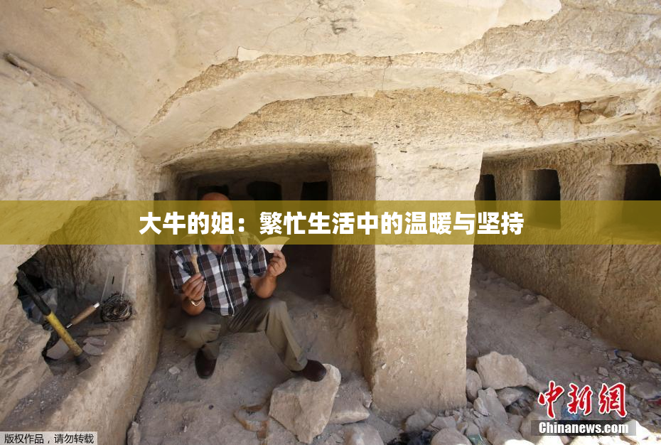 大牛的姐：繁忙生活中的温暖与坚持