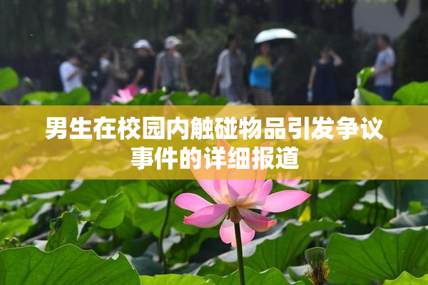 男生在校园内触碰物品引发争议事件的详细报道
