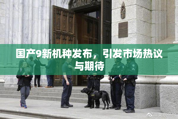 国产9新机种发布，引发市场热议与期待