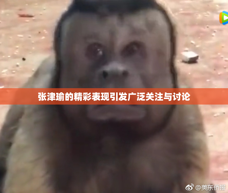 张津瑜的精彩表现引发广泛关注与讨论