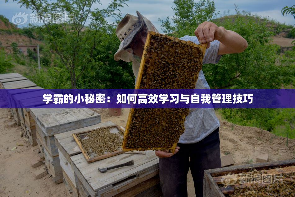 学霸的小秘密：如何高效学习与自我管理技巧