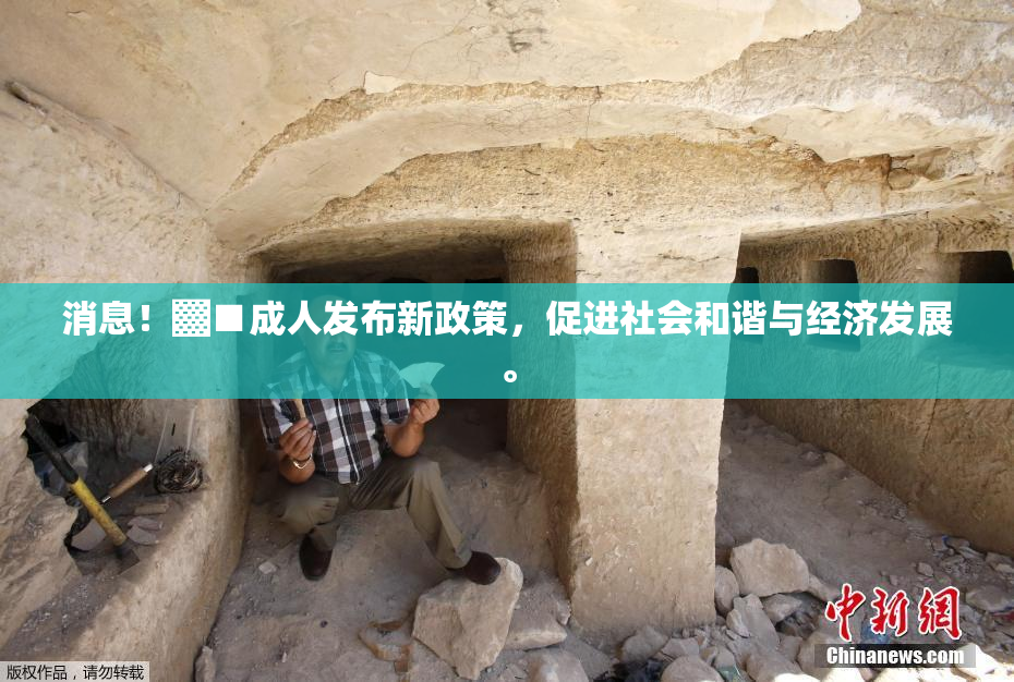 消息！▓■成人发布新政策，促进社会和谐与经济发展。