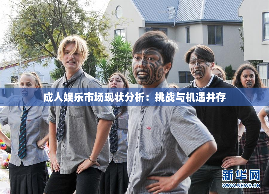 成人娱乐市场现状分析：挑战与机遇并存