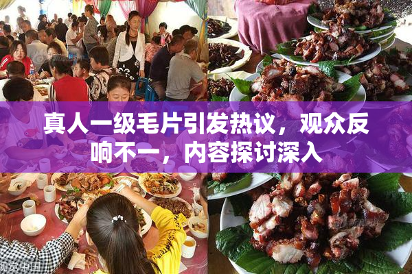 真人一级毛片引发热议，观众反响不一，内容探讨深入