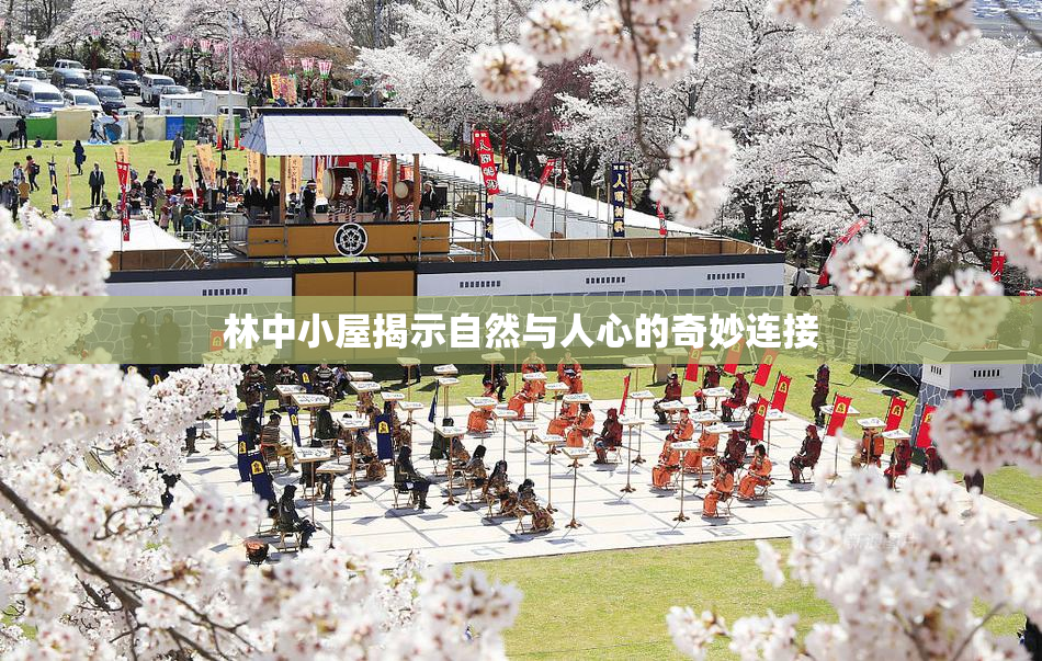 林中小屋揭示自然与人心的奇妙连接
