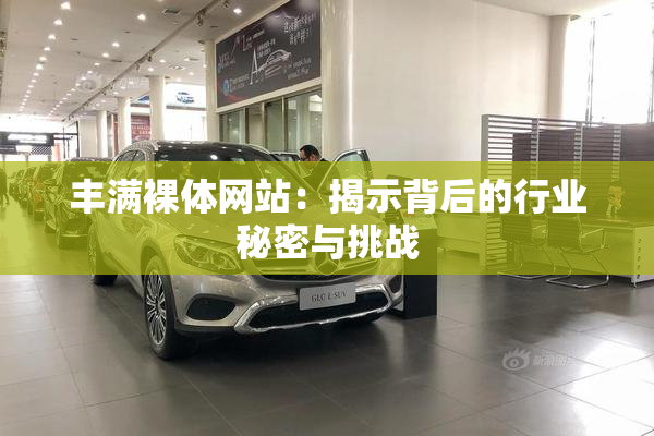 丰满裸体网站：揭示背后的行业秘密与挑战
