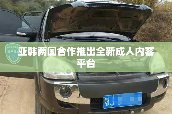 亚韩两国合作推出全新成人内容平台