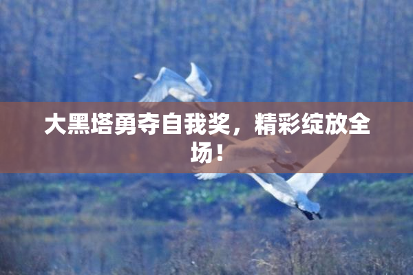 大黑塔勇夺自我奖，精彩绽放全场！