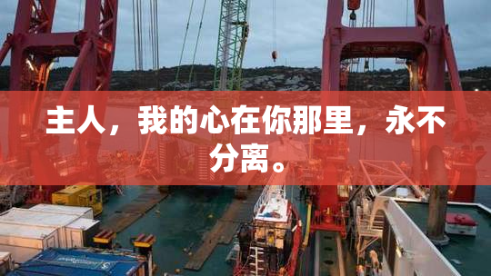 主人，我的心在你那里，永不分离。