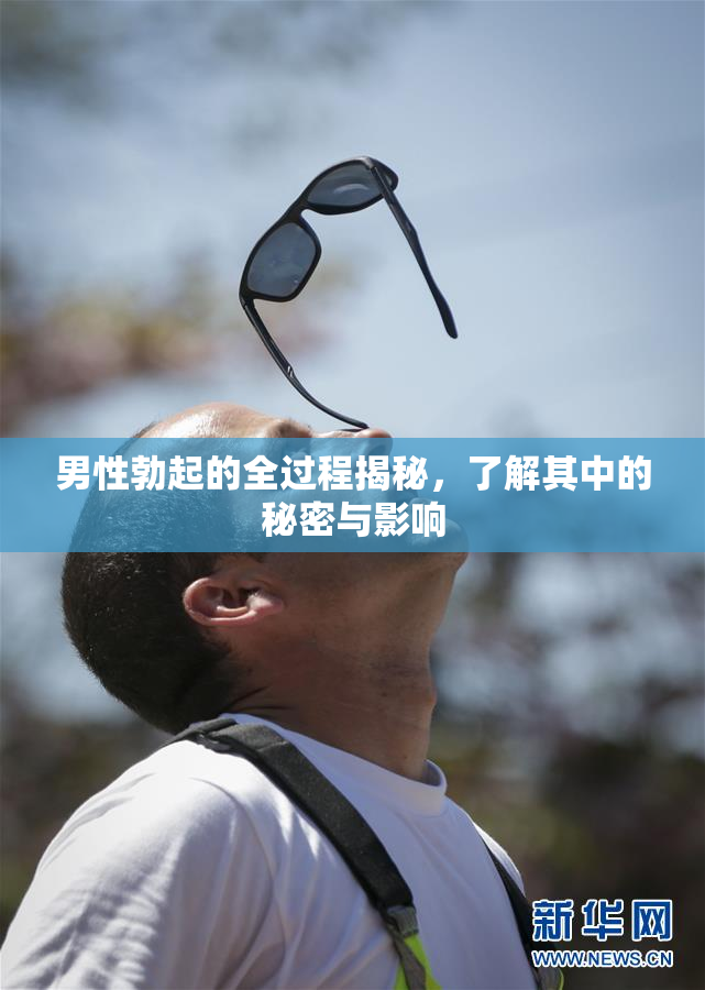 男性勃起的全过程揭秘，了解其中的秘密与影响