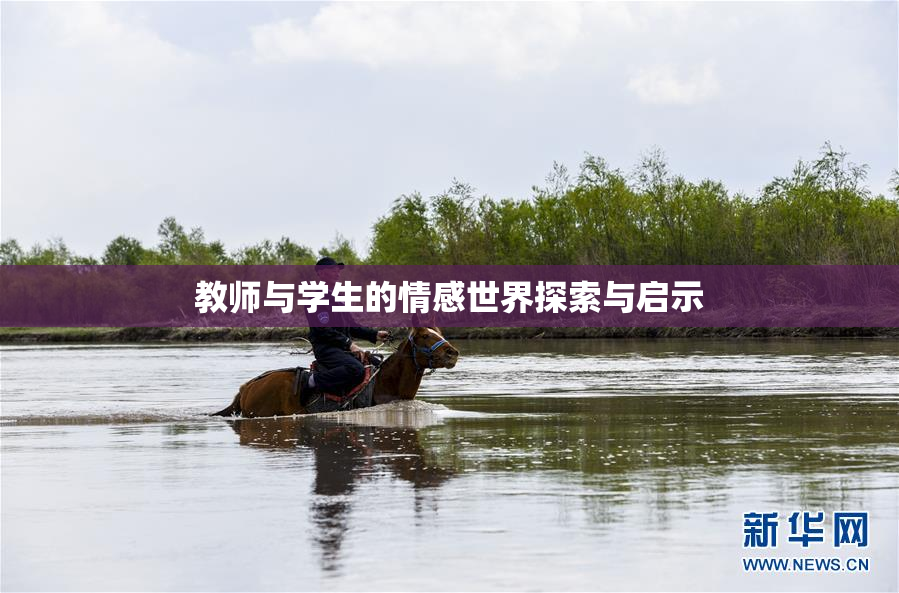 教师与学生的情感世界探索与启示