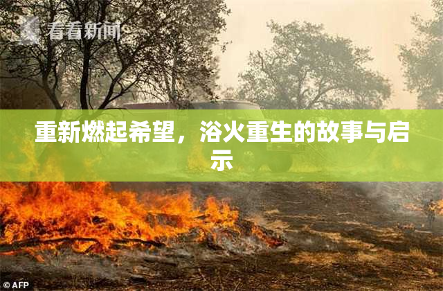 重新燃起希望，浴火重生的故事与启示