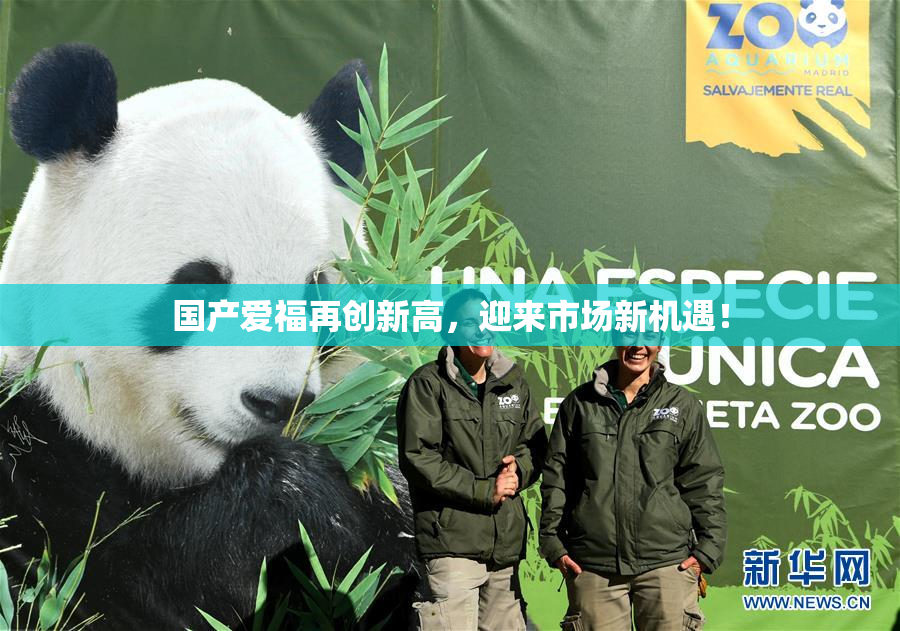 国产爱福再创新高，迎来市场新机遇！