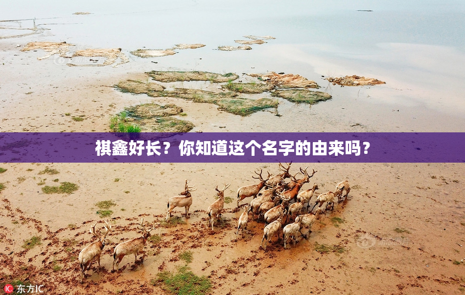 祺鑫好长？你知道这个名字的由来吗？