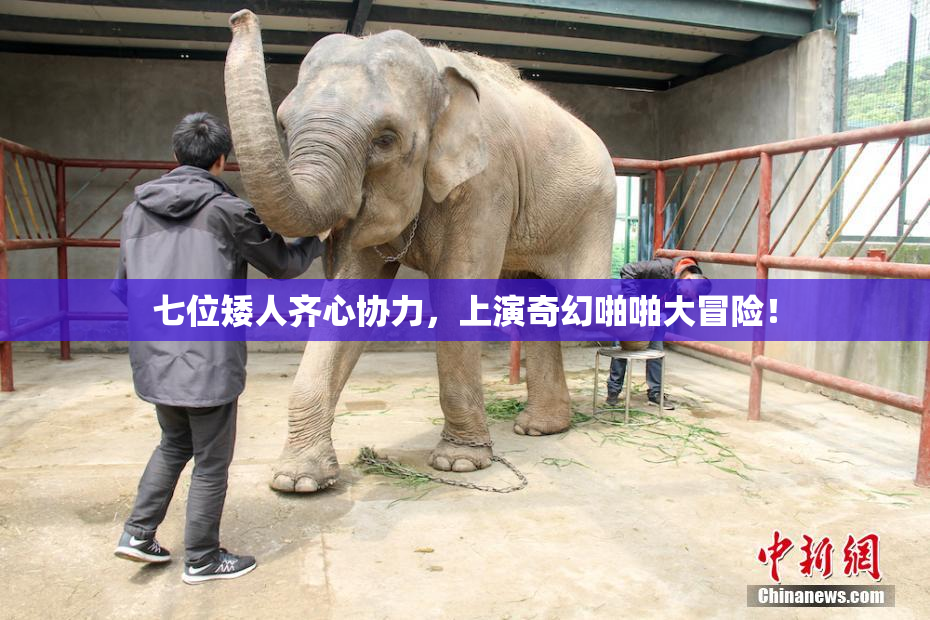 七位矮人齐心协力，上演奇幻啪啪大冒险！