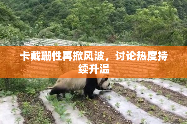 卡戴珊性再掀风波，讨论热度持续升温