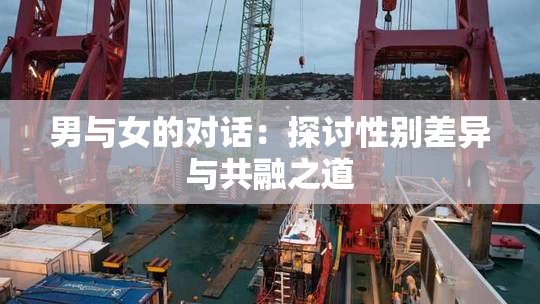 男与女的对话：探讨性别差异与共融之道