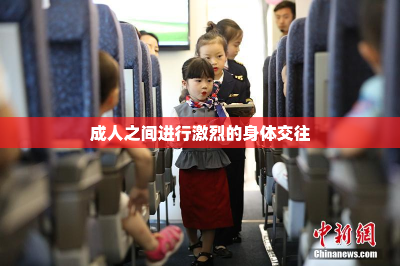 成人之间进行激烈的身体交往