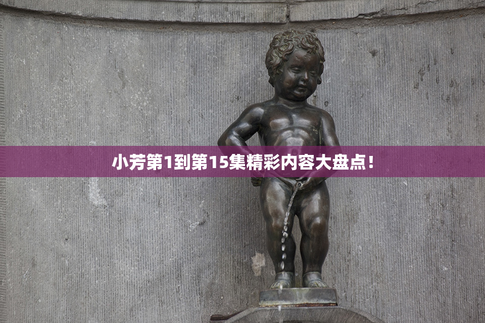 小芳第1到第15集精彩内容大盘点！