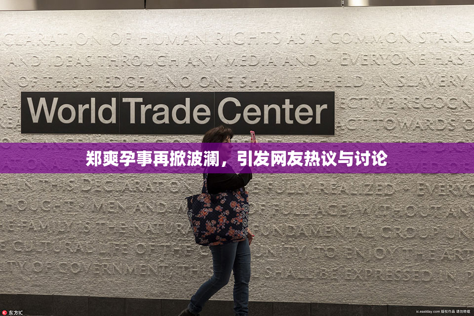 郑爽孕事再掀波澜，引发网友热议与讨论