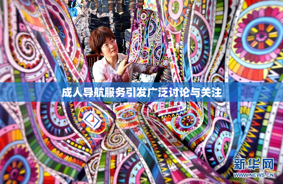 成人导航服务引发广泛讨论与关注