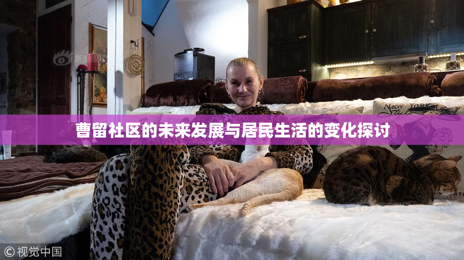 曹留社区的未来发展与居民生活的变化探讨