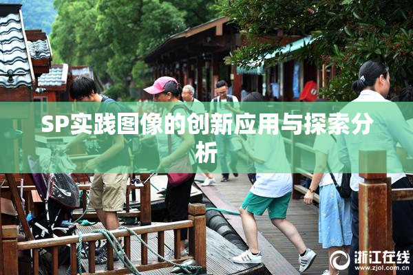 SP实践图像的创新应用与探索分析