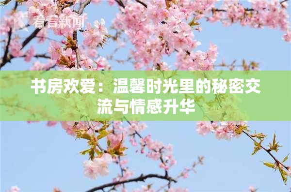 书房欢爱：温馨时光里的秘密交流与情感升华
