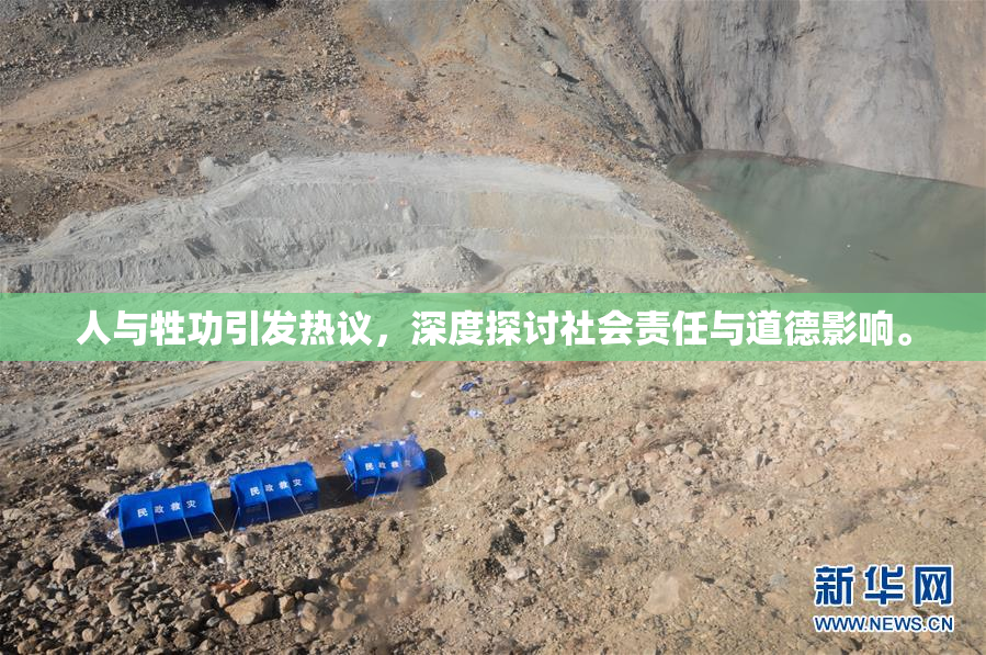 人与牲功引发热议，深度探讨社会责任与道德影响。