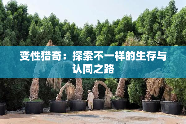 变性猎奇：探索不一样的生存与认同之路