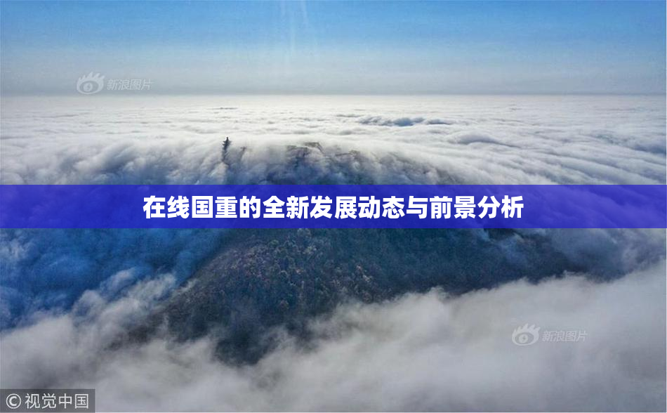 在线国重的全新发展动态与前景分析