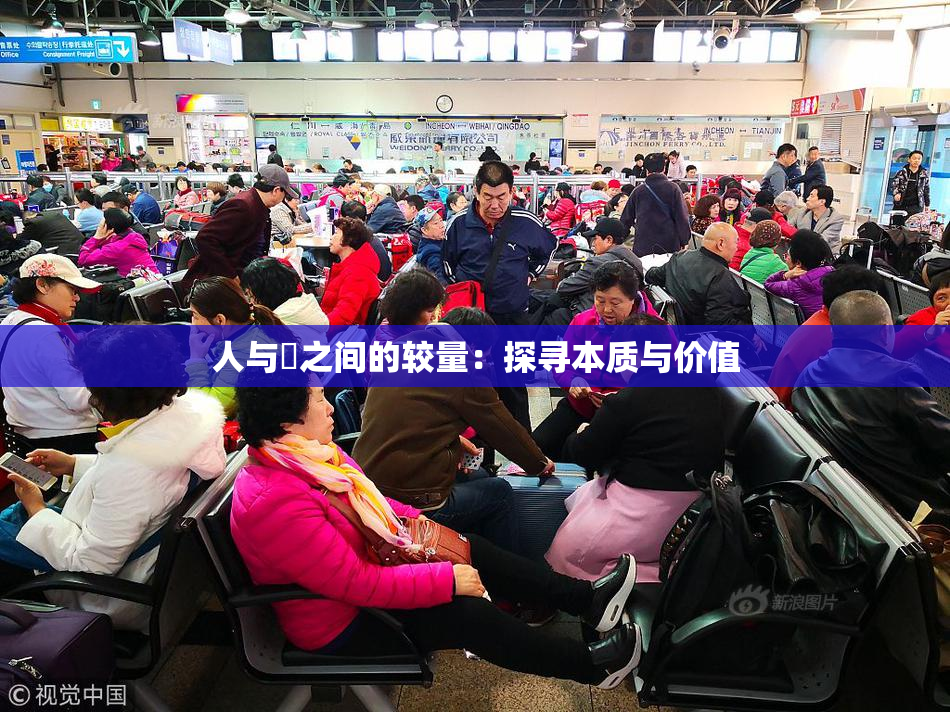人与嘼之间的较量：探寻本质与价值